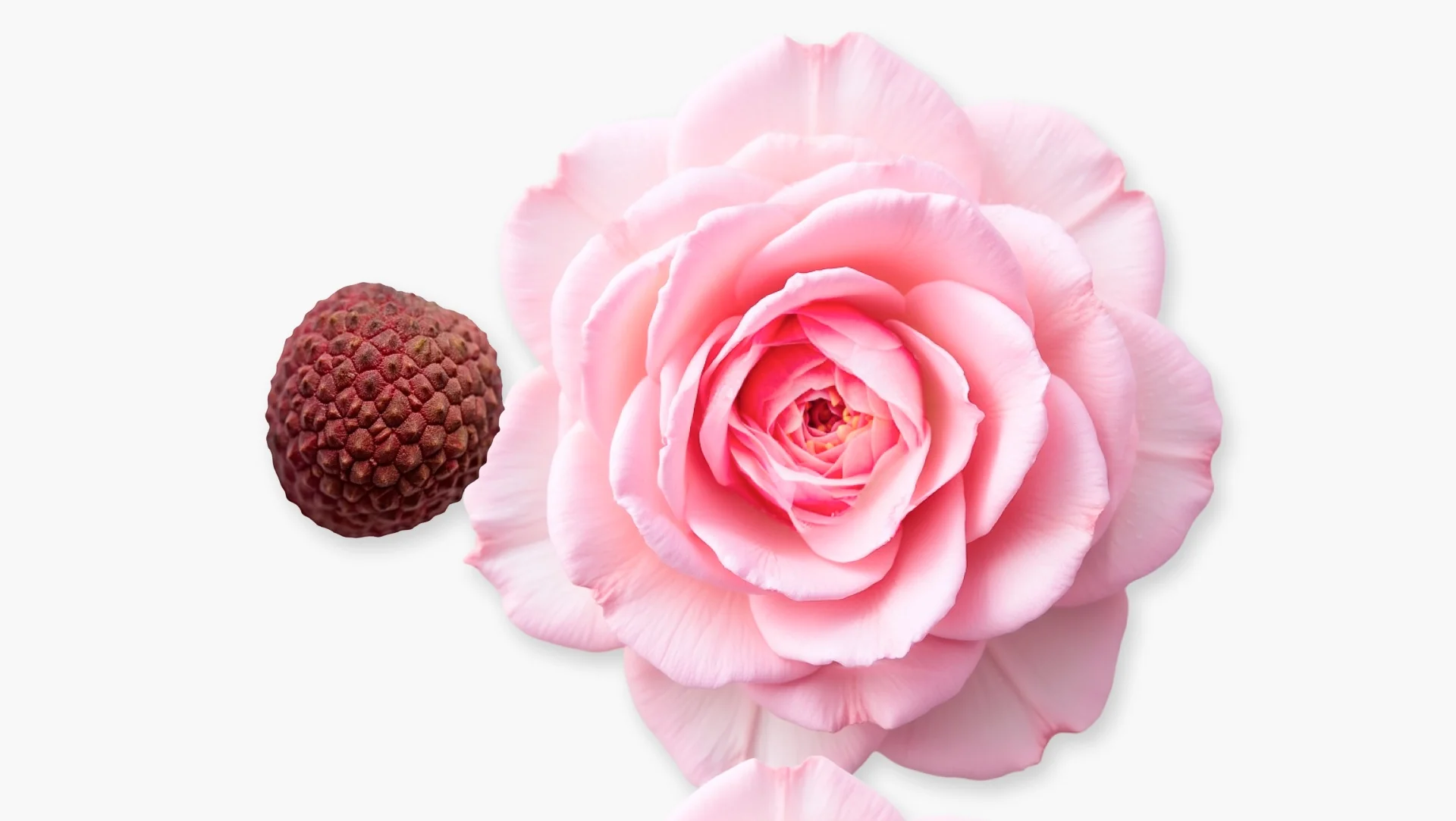 Parfums de Marly Delina Eau de Parfum