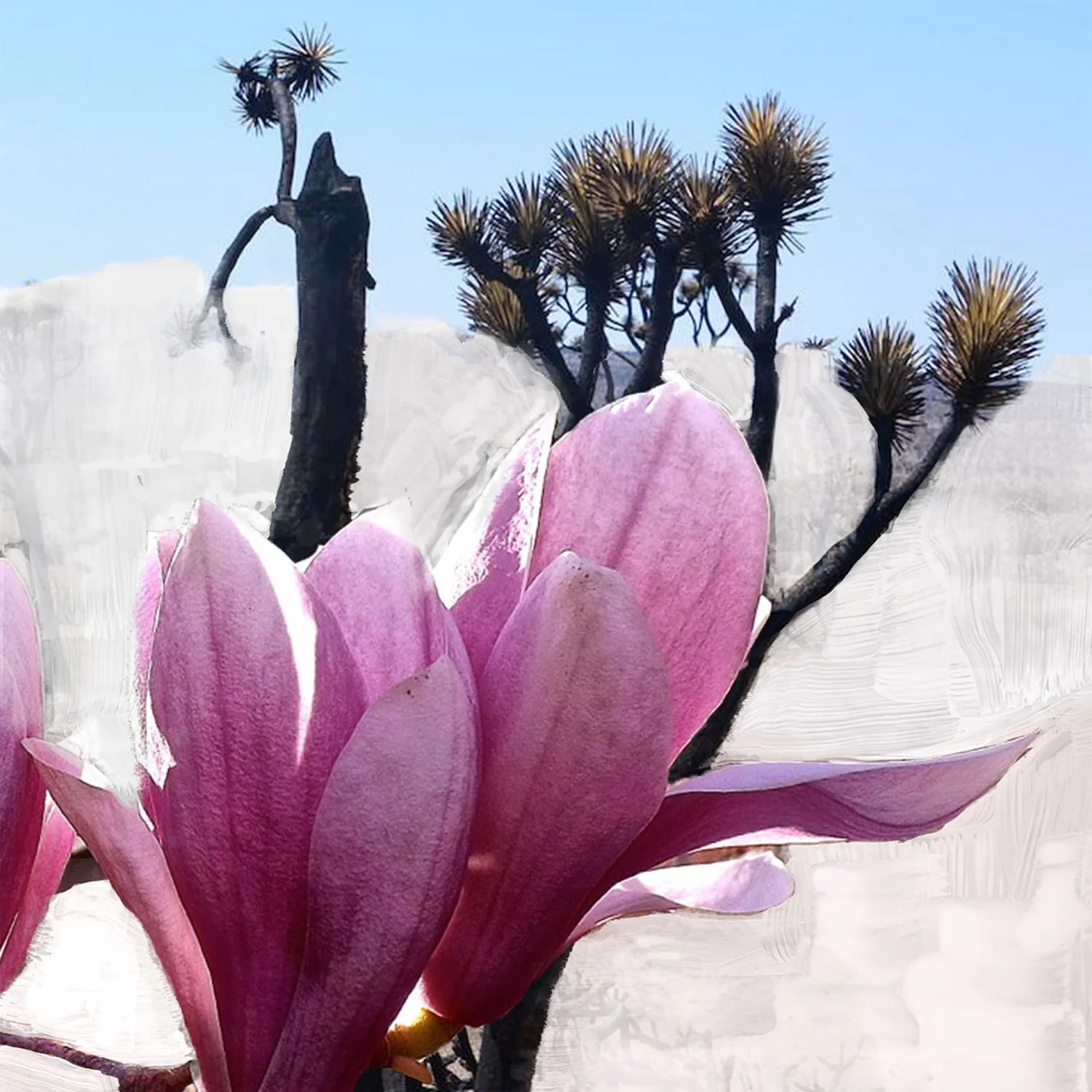 Byredo Mojave Ghost Eau de Parfum