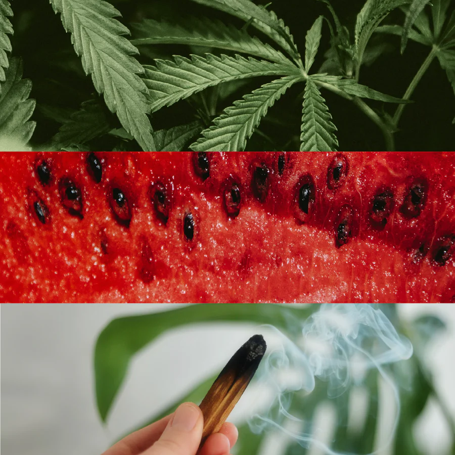 House of Bo Oro Verde Parfum - Image 5