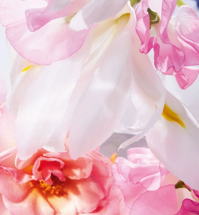 Miss Dior Eau de Parfum - Image 3