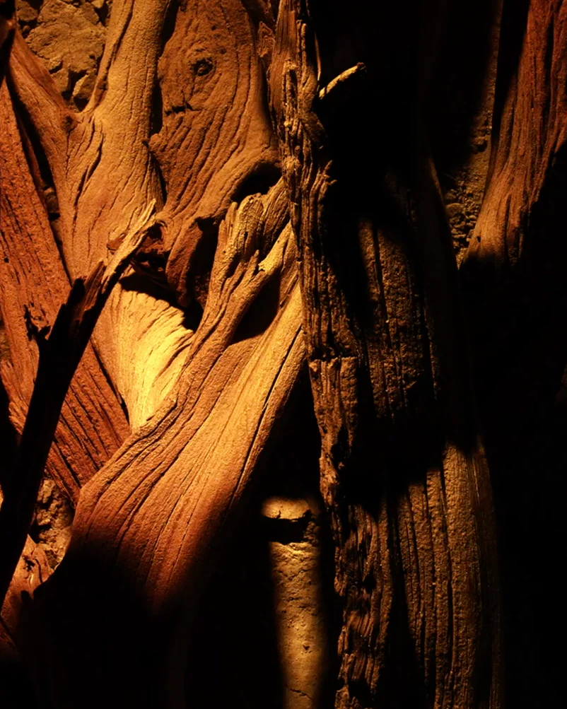 Tom Ford Bois Pacifique